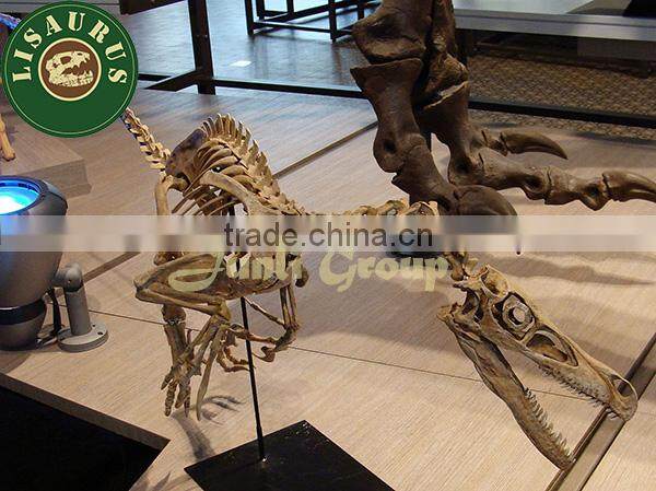 Lisaurus-J High quality dinosaur skeleton exhibit models for sale