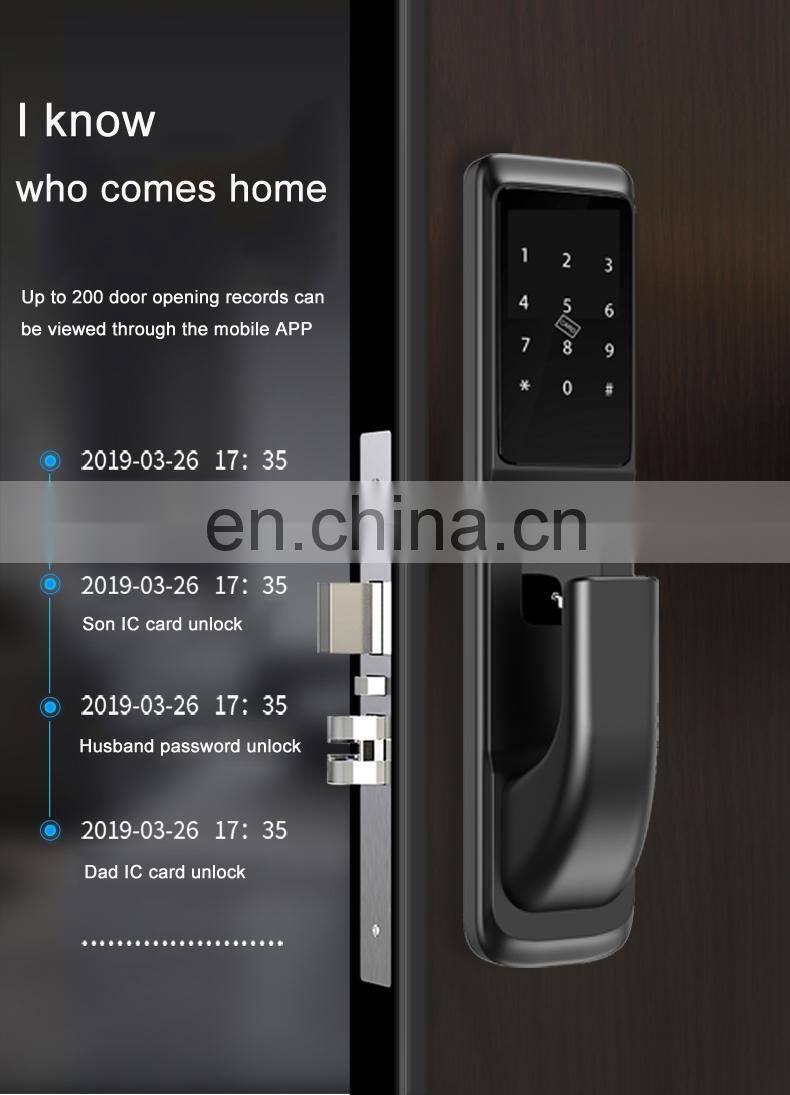 Encrypted Hot Sell Card Home Security Finger Print Biometric Fingerprint Door Locks Door Lock Smart Locks
