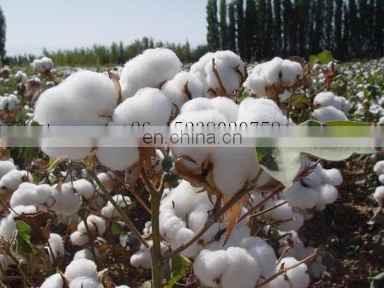 Portable Mini Cotton Harvester / Cotton Picker / Cotton picking Machine