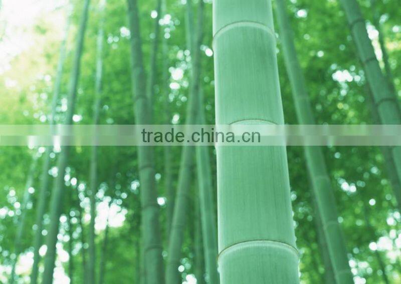 custom bamboo fibre kitchenware cutting board with hanging hole, bamboo cutting board