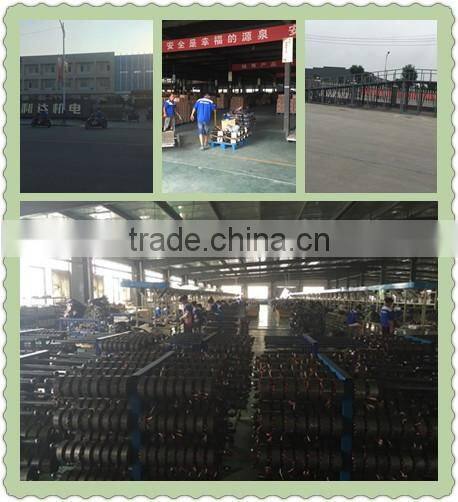 two speed BLDC motor and differential for sale disc brake