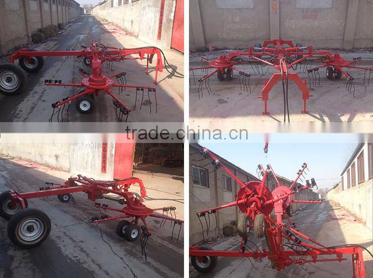 High quality CE approved double side pasture rotary rake for sale