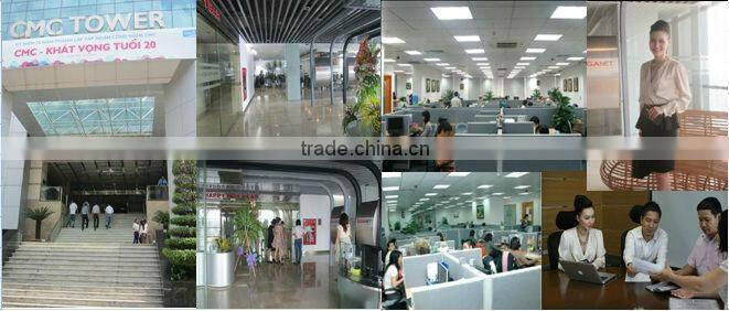 Cheap Price Cassava Chip 03