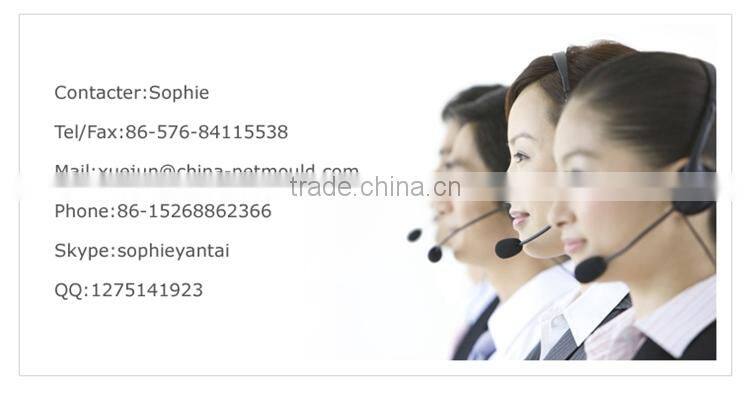 Factory price best quality 100% steel PET/PP variety bottle preform mold