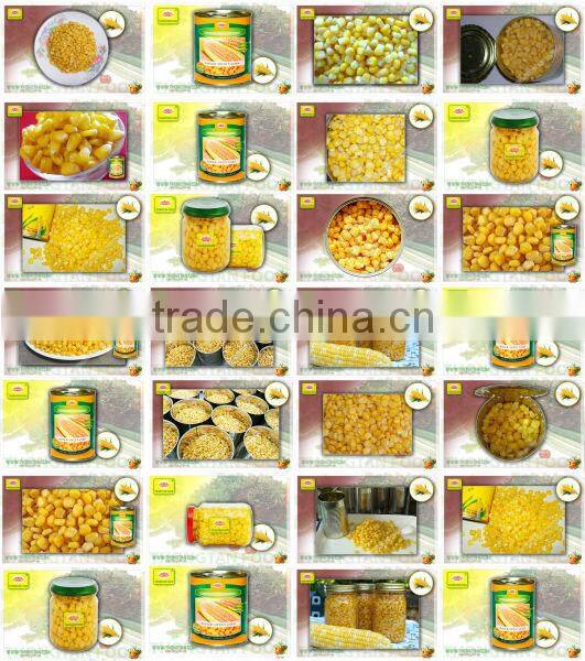 Bulk Canned Sweet Corn, good price
