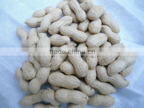 raw peanut kernel for sale