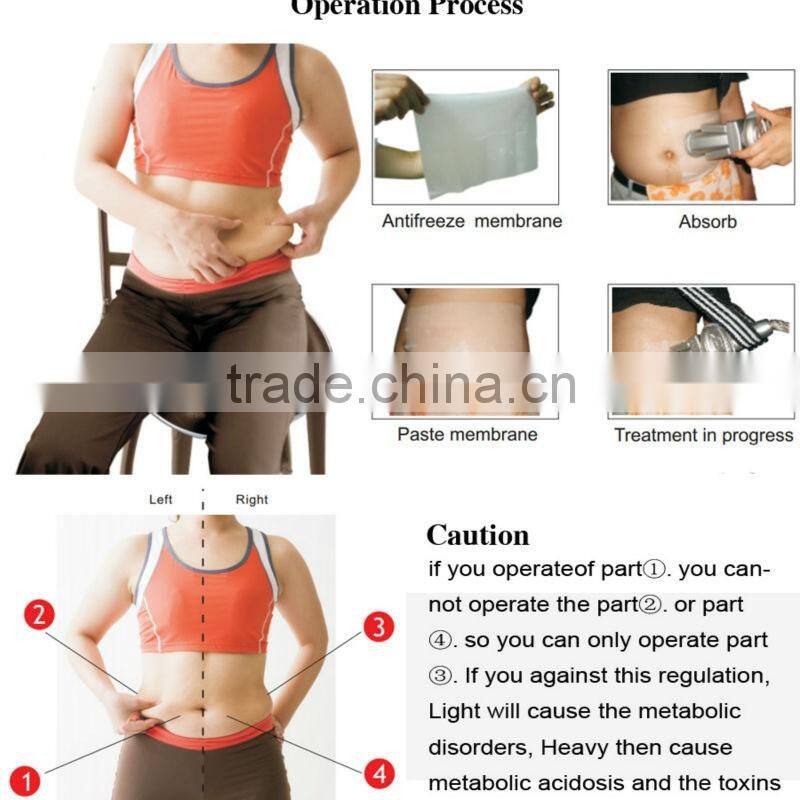 AYJ-835C ayplus fat freeze slimming machine