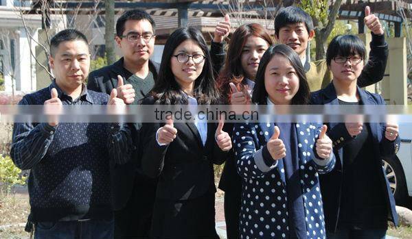 Pass OEKO-TEX 100 Kids Minky Scarf With Padding For New Year Gift Safe For Baby.JSS20151106002