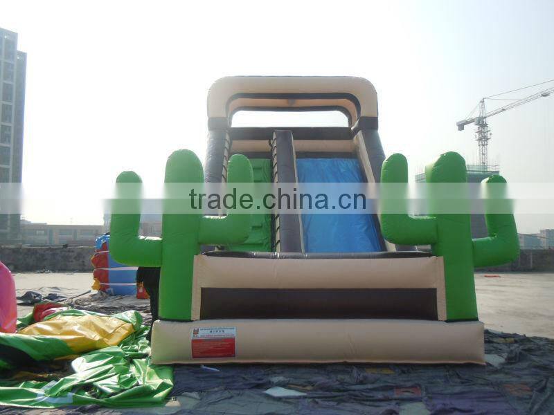 Hola summer color inflatable slip n slide/inflatable slide/inflatable water slide