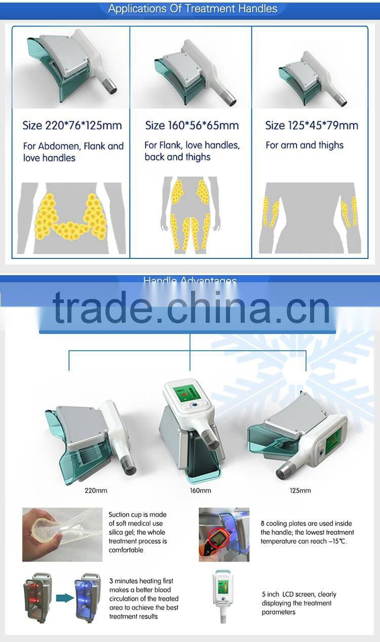 CE / FDA approved safety weight loss freeze fat cryolipolysis professional ce two handles