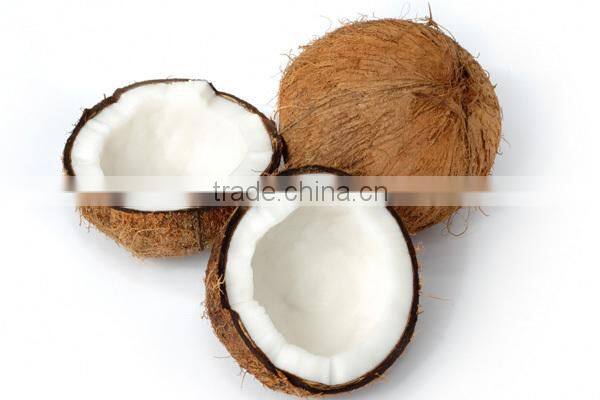 Fresh coconuts from India