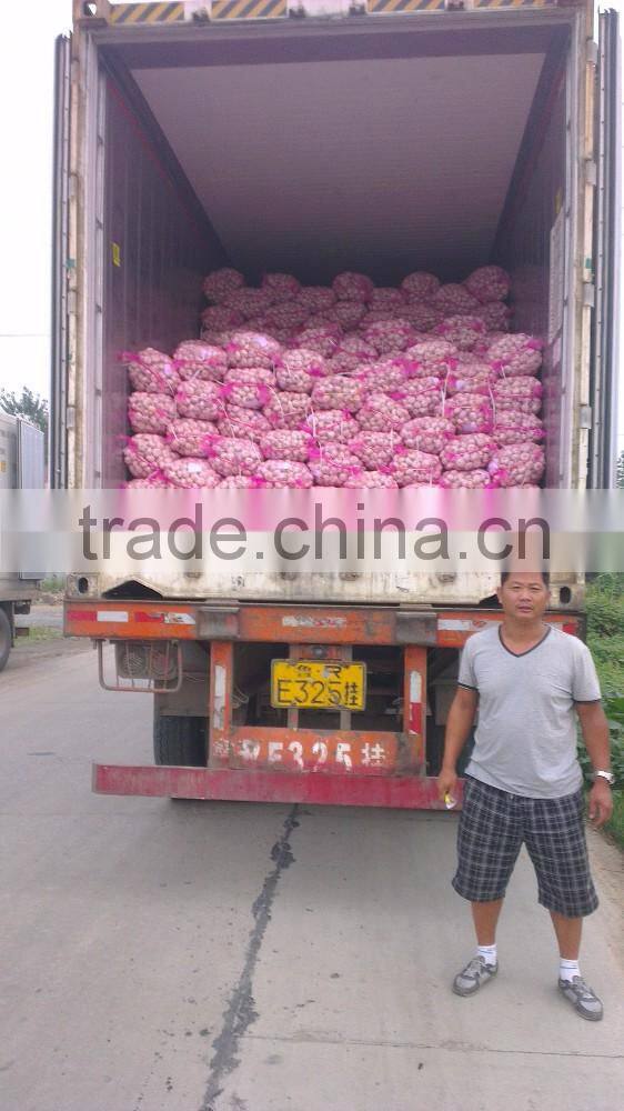 Fresh Garlic natural