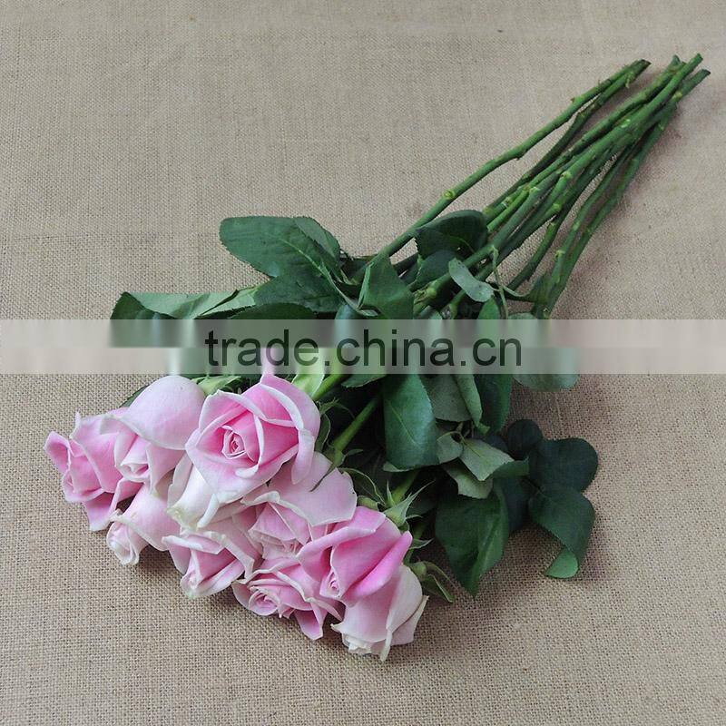 Supply various colors fresh cut flowers light up rose from plants base