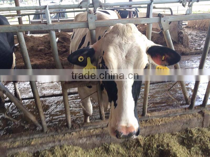 Chinese high quality advanced polyurethane formulationv rfid proximity ear tag