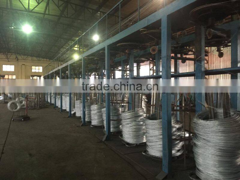 gi binding wire/electro galvanized wire/Galvanized Binding Wire