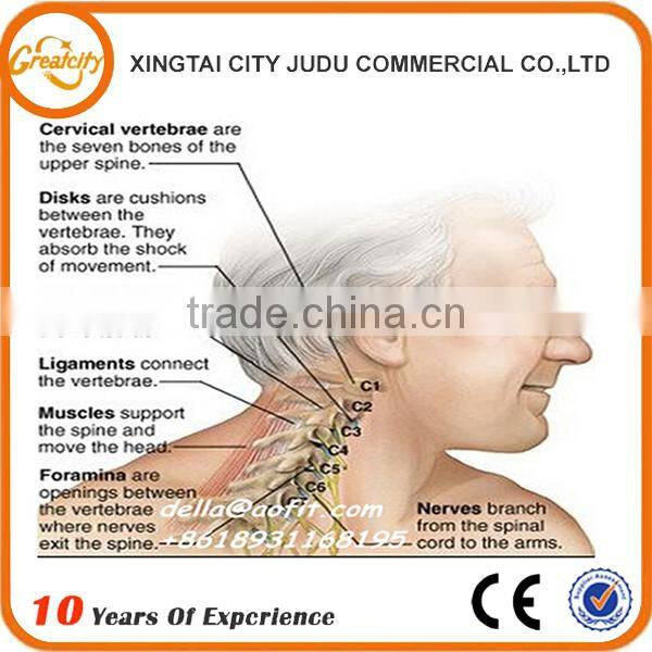 Air neck collar traction device