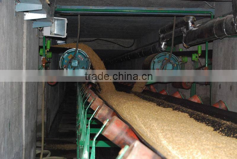 Beer barly malting equipment --steeping tank 01