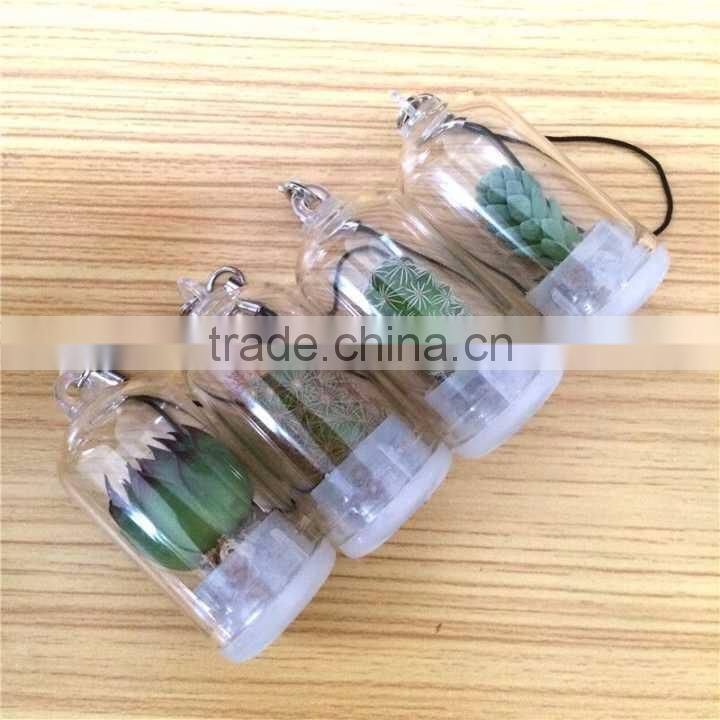 Wholesale Factory Cheap Glass Potted Meaty Cactus Plant Keychain, Super Mini Personal Gift Decorative Keychain Plant Design