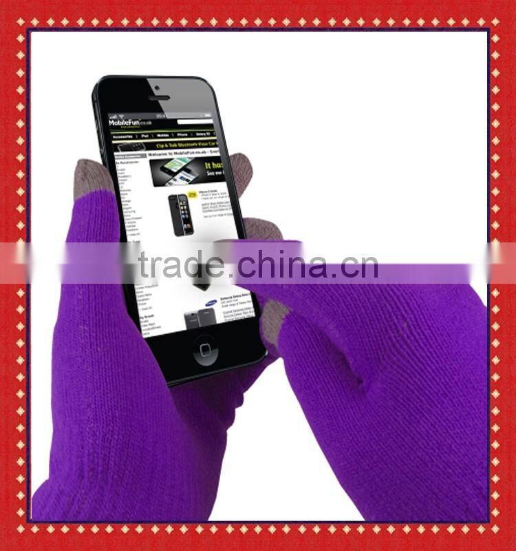 Promotion Winter Warm Smartphone Gloves/ Texting Touch Gloves/iPhone Gloves