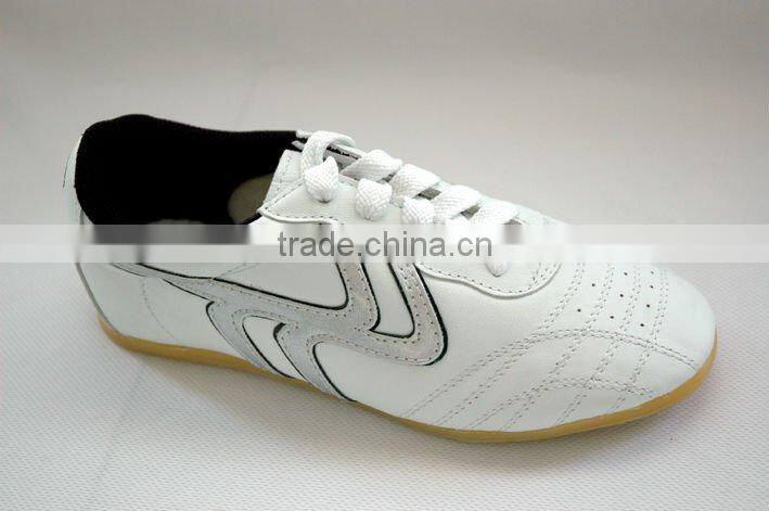 kungfu Shoes