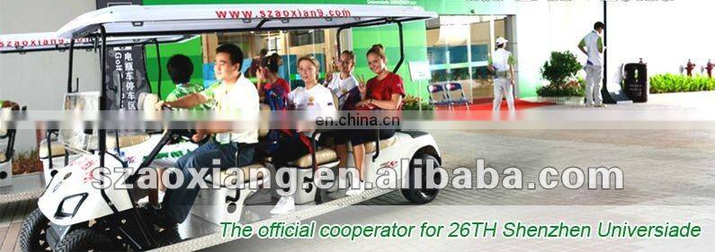 Single seat mini battery powered carts