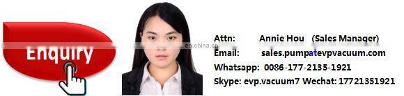 DLV350 double stage liquid ring vacuum pump for food packing 2SK Update