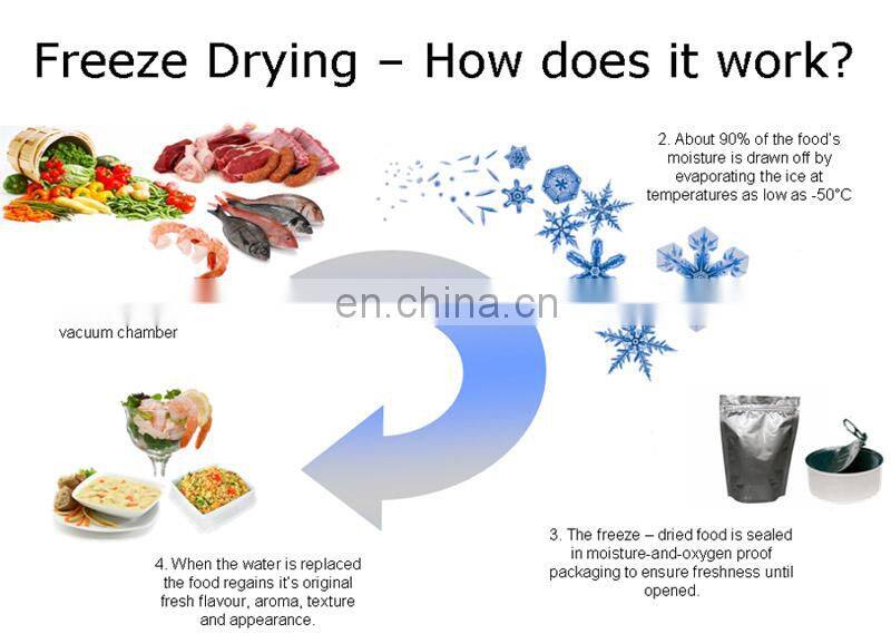 Industrial freeze dry machine for pepper, eggplant, pear, peach, apple, papay processing