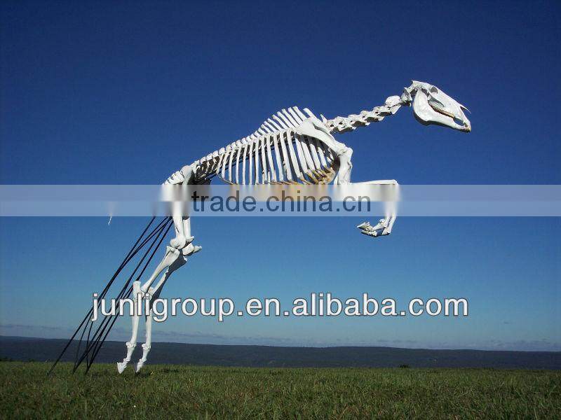 JLDF-G-0020 Artificial Hot Sell Realistic Horse Skeleton