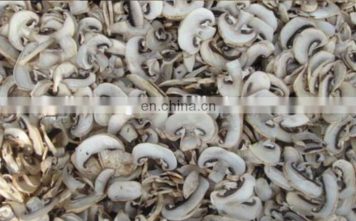 Automatic Mushroom cutting machine/mushroom slicer machine /mushroom slicing machine with the factory price