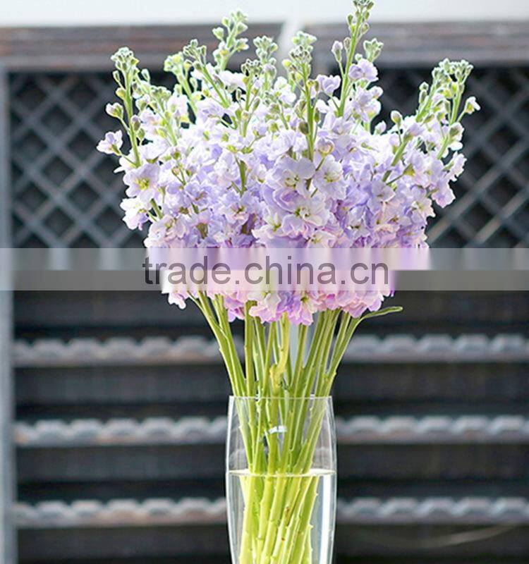 Alibaba china stylish cut fresh violet flowers