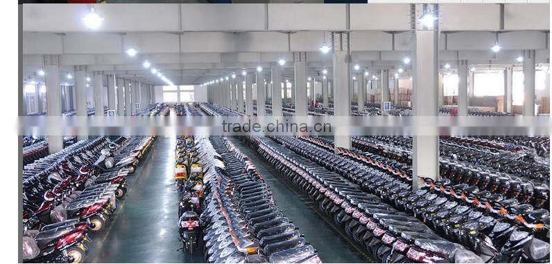 2016 most popular sales electric scooter with pedal 350W 48V20AH