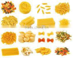 automatic pasta machine italy