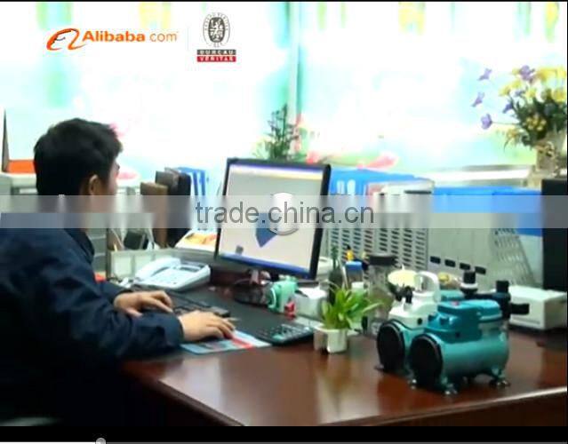 HSENG airbrush nail stencil AS18-2