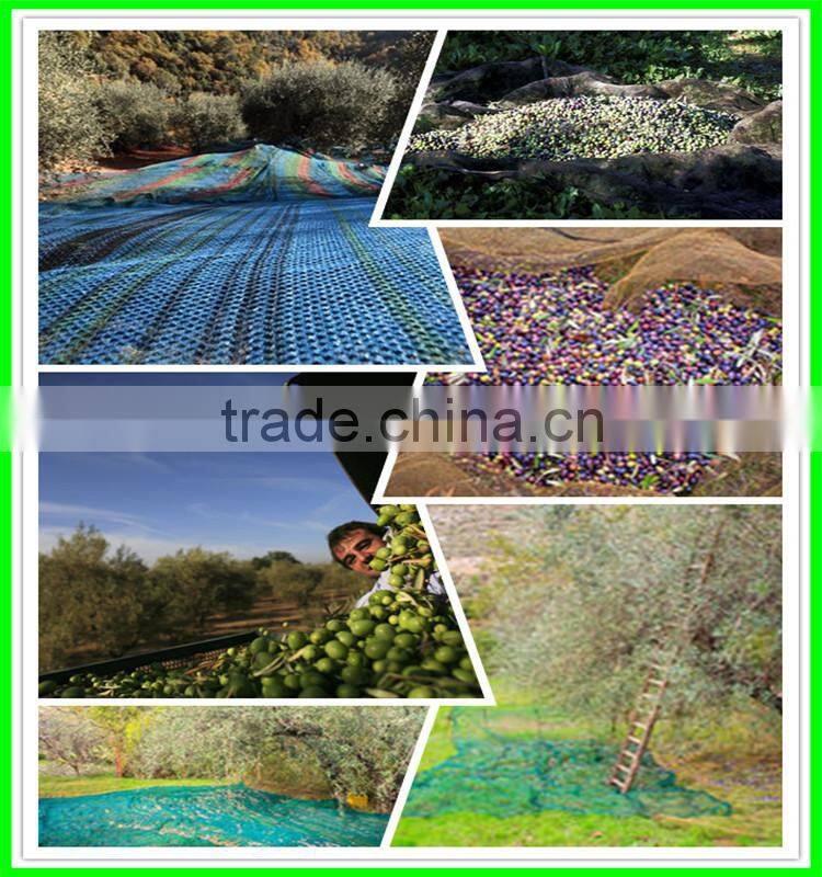 2016 100% virgin HDPE/PE UV added long life span plastic olive harvest nets/olive collection net
