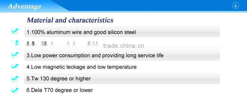 1000W Supplier of Magnetic chock