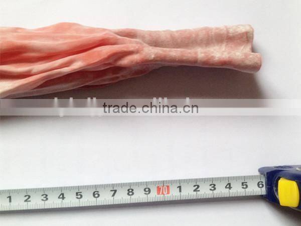 Latex Meteorological Weather Balloon High Altitude Radio Sonde Sky Camera