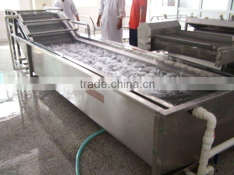 bubble washing machine/food machine /food processing machine/vegetable processing machine