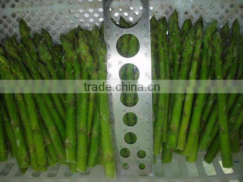IQF Asparagus