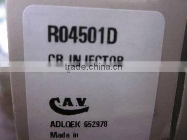 France original EJBR04501D injector Ssangyong Actyon 2.0 XDi
