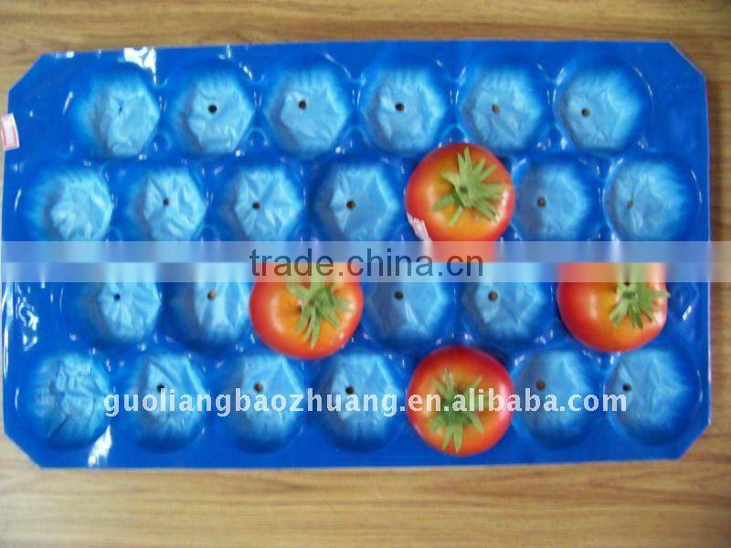 24/25/26/27 Holes Fruit Punnet