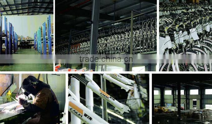 28" aluminium MTB electric bike cheap bike-TDA28M004