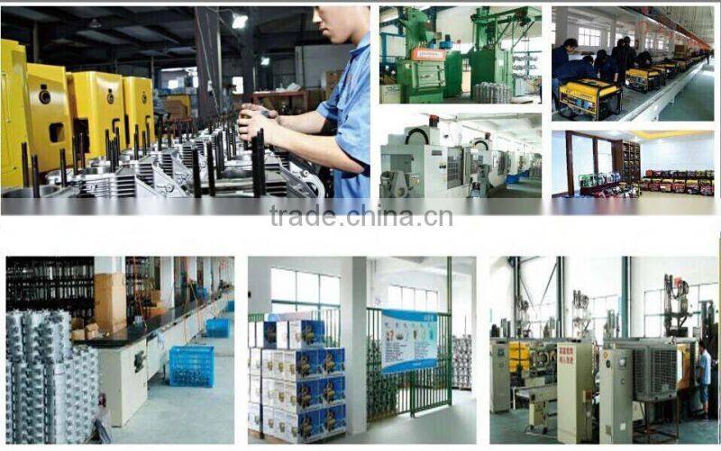 Kerosene Petrol Water Pump Manufactures