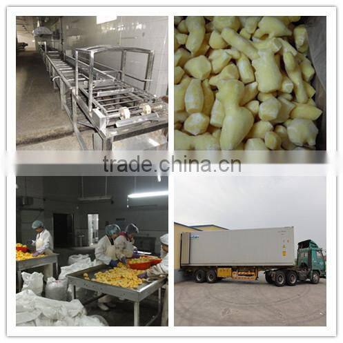 Chinese Fresh Ginger with good quality for sale