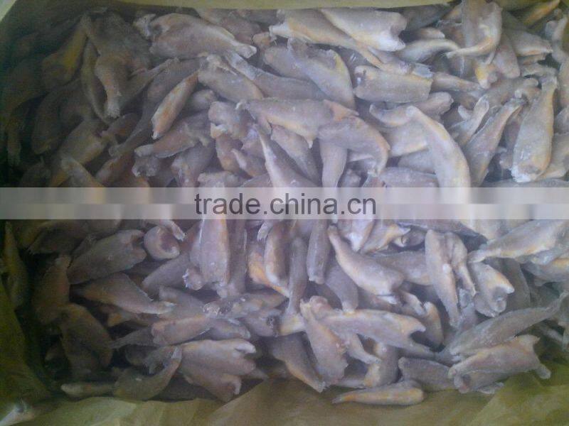 Zhoushan farming headless frozen small croaker