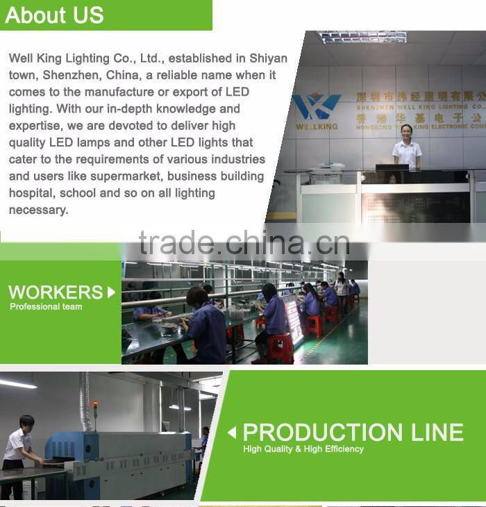 100W LED Flood Light IP65