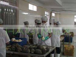 BEST SELLING VIETNAM CANNED PINEAPPLE CHUNKS / SLICES IN SYRUP (20oz/580ml and 30oz/850ml)