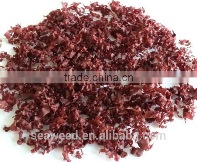 Red Alga(Manufacturer)