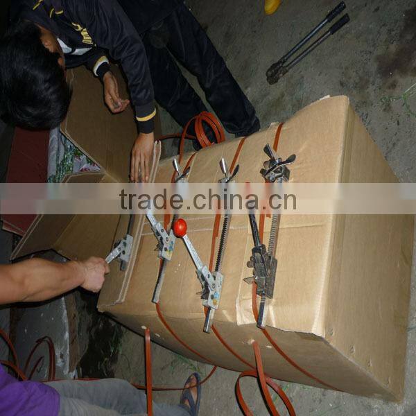 low price fresh carnation flower for wholesale