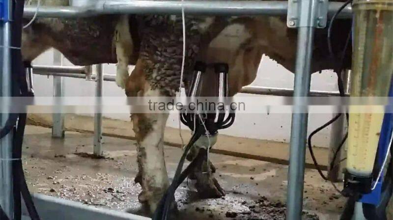 Dairy Farm Milking Equipment with Automatic Cluster Remover