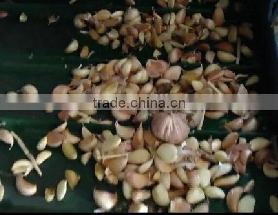 Belt Type CCD Camera Color Sorter for Garlic 086 371 65866393